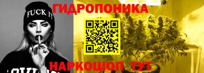альфа пвп Кингисепп