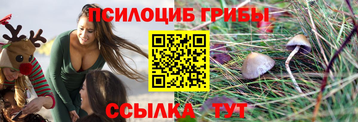 Галлюциногенные грибы прущие грибы Донской